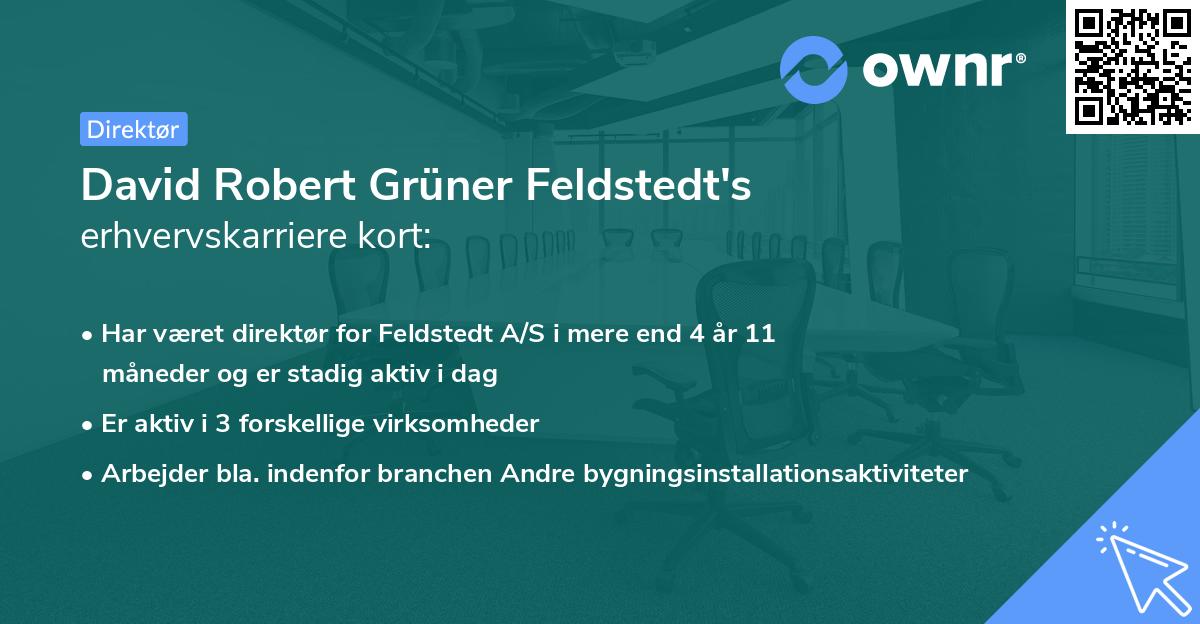 David Robert Grüner Feldstedt's erhvervskarriere kort