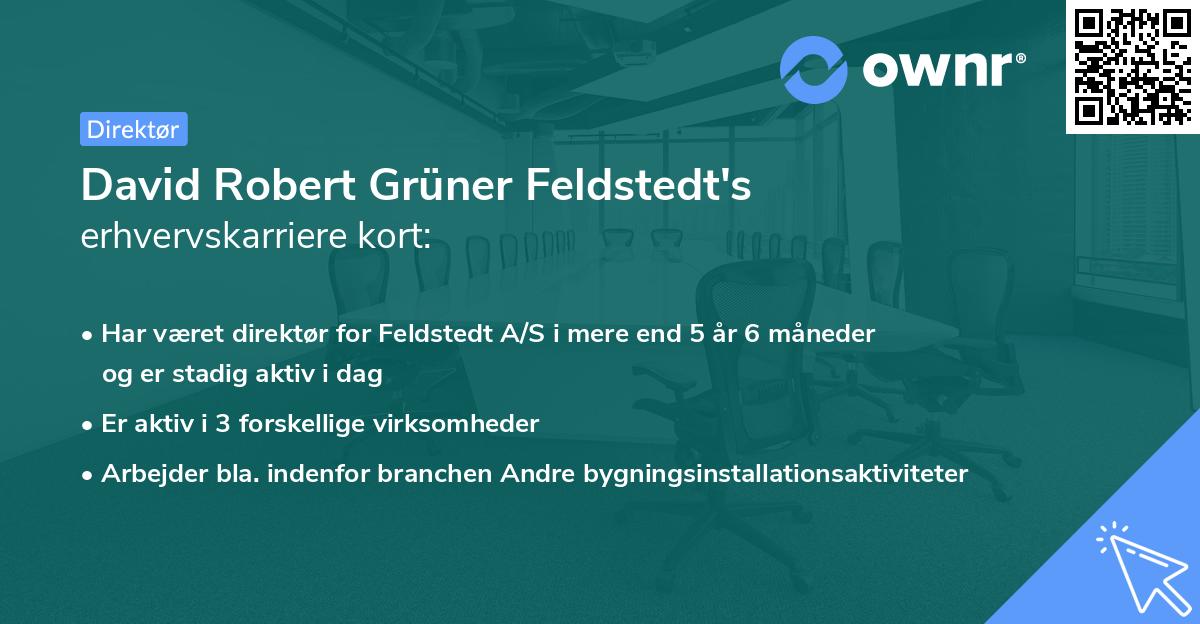 David Robert Grüner Feldstedt's erhvervskarriere kort