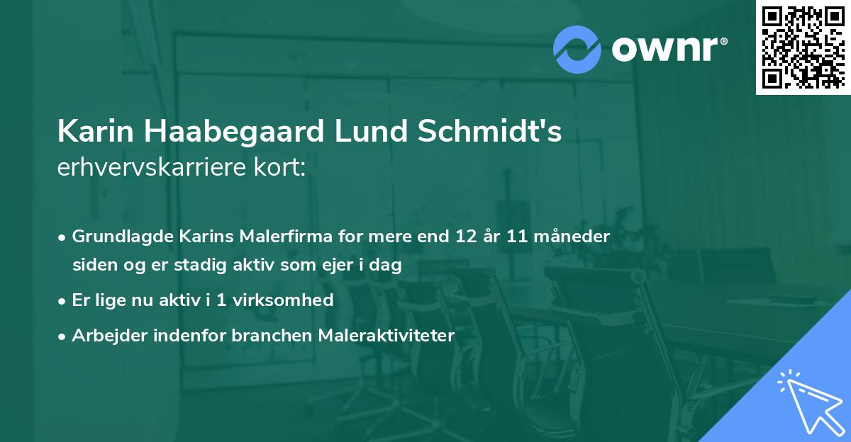 Karin Haabegaard Lund Schmidt's erhvervskarriere kort