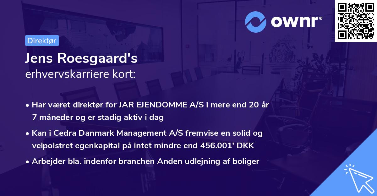 Jens Roesgaard's erhvervskarriere kort