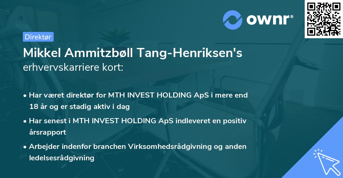 Mikkel Ammitzbøll Tang-Henriksen's erhvervskarriere kort