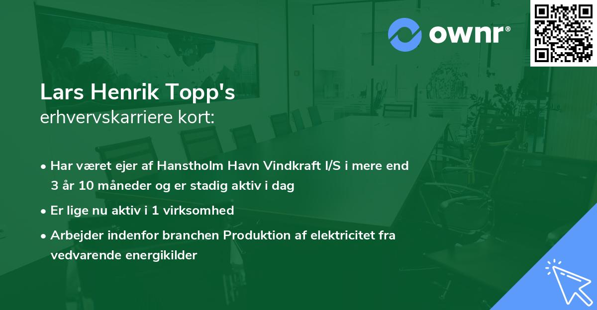 Lars Henrik Topp's erhvervskarriere kort
