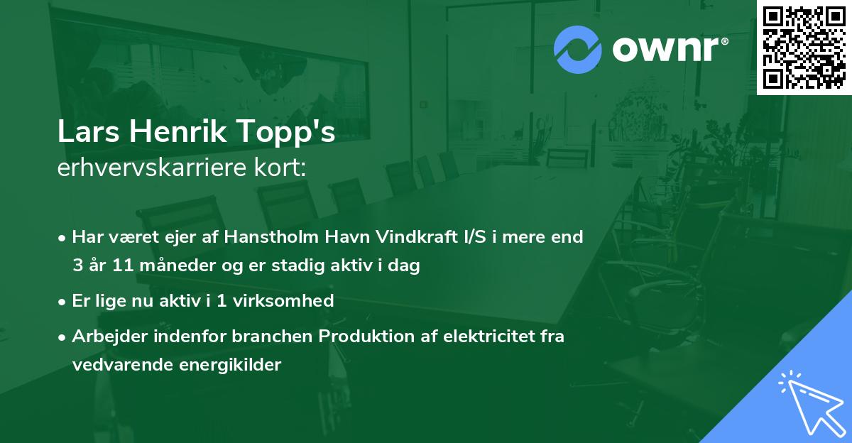 Lars Henrik Topp's erhvervskarriere kort