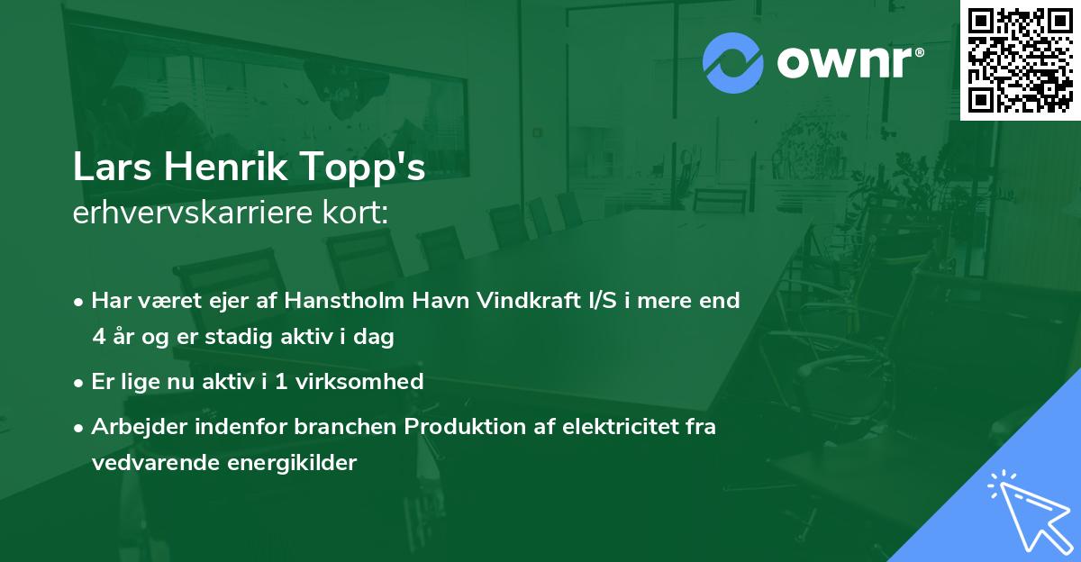 Lars Henrik Topp's erhvervskarriere kort