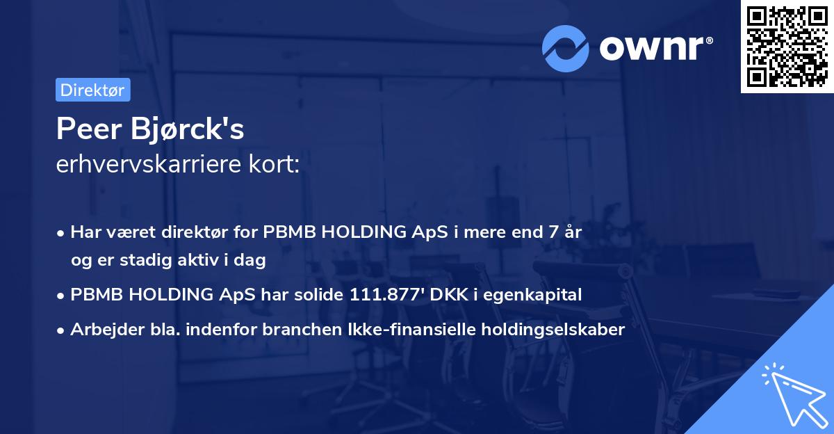 Peer Bjørck's erhvervskarriere kort