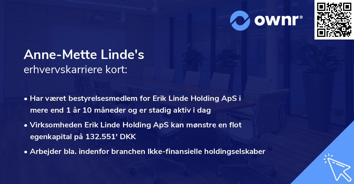 Anne-Mette Linde's erhvervskarriere kort