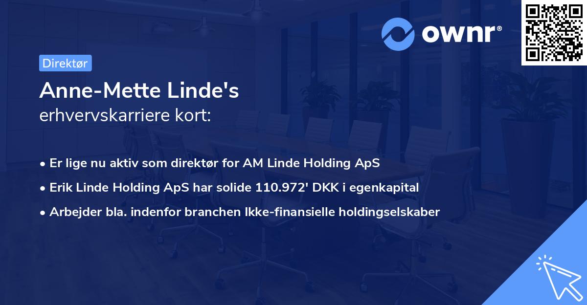 Anne-Mette Linde's erhvervskarriere kort