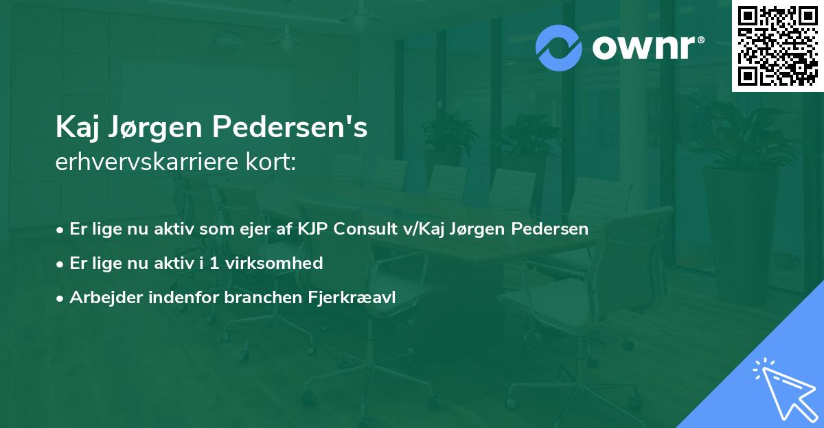 Kaj Jørgen Pedersen's erhvervskarriere kort