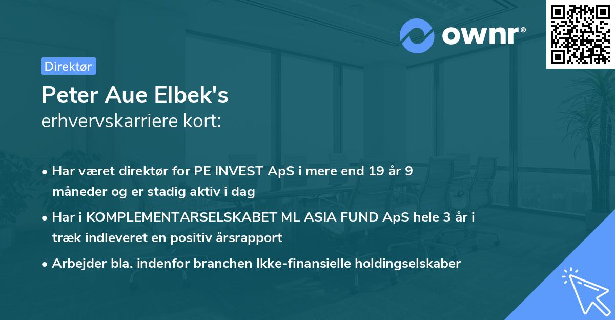 Peter Aue Elbek's erhvervskarriere kort