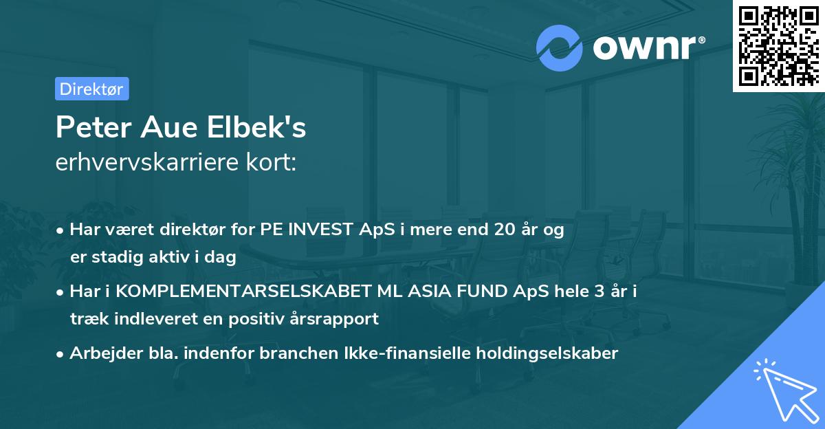 Peter Aue Elbek's erhvervskarriere kort