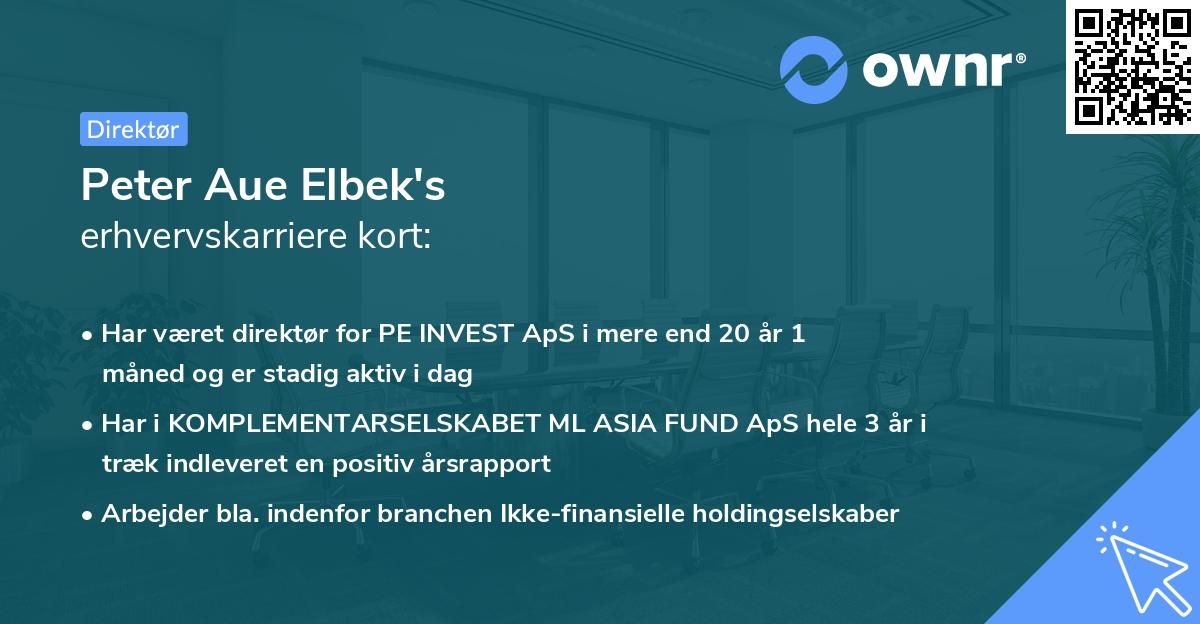 Peter Aue Elbek's erhvervskarriere kort