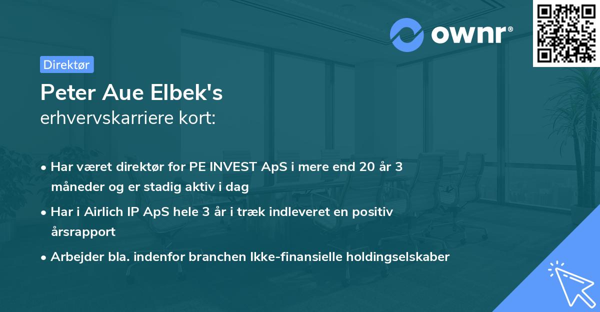 Peter Aue Elbek's erhvervskarriere kort