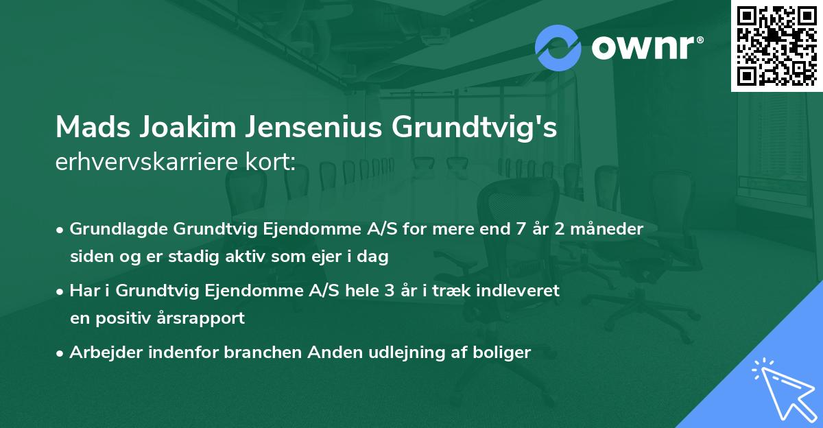 Mads Joakim Jensenius Grundtvig's erhvervskarriere kort