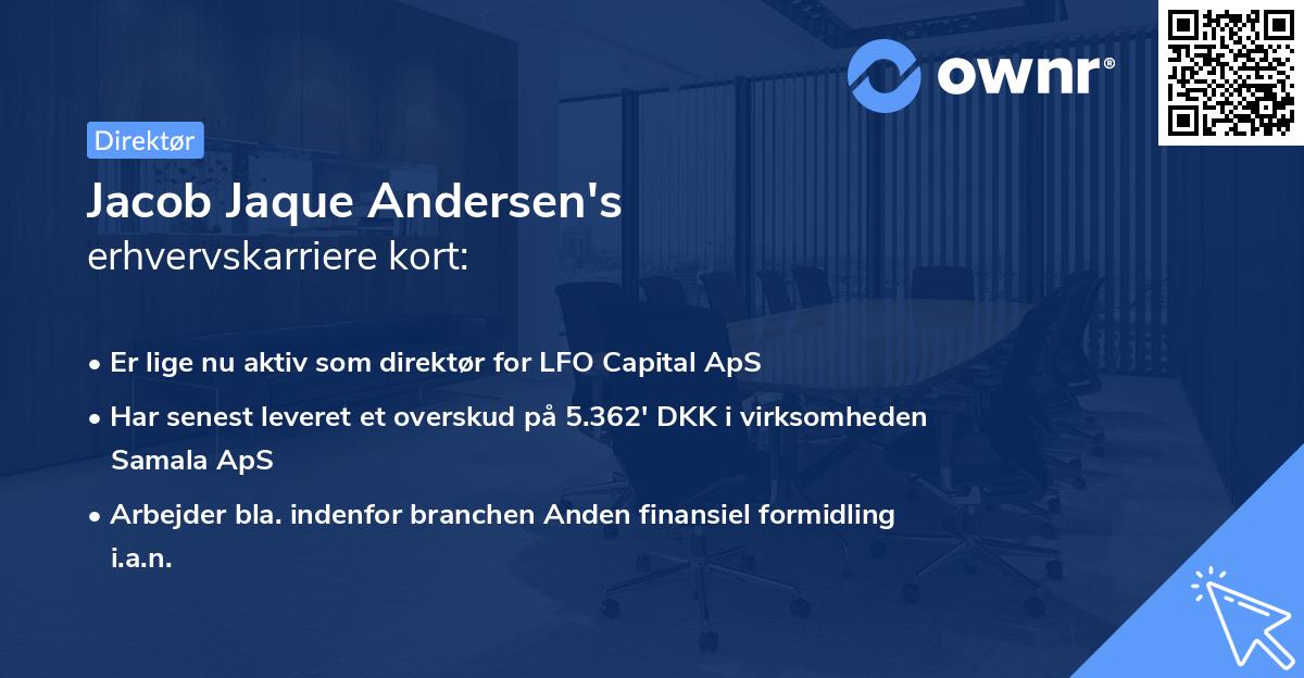 Jacob Jaque Andersen's erhvervskarriere kort