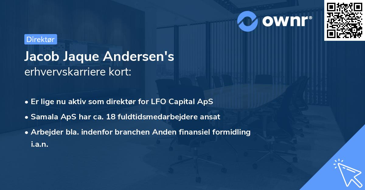 Jacob Jaque Andersen's erhvervskarriere kort