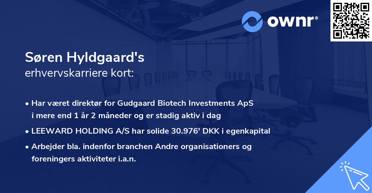 Søren Hyldgaard's erhvervskarriere kort