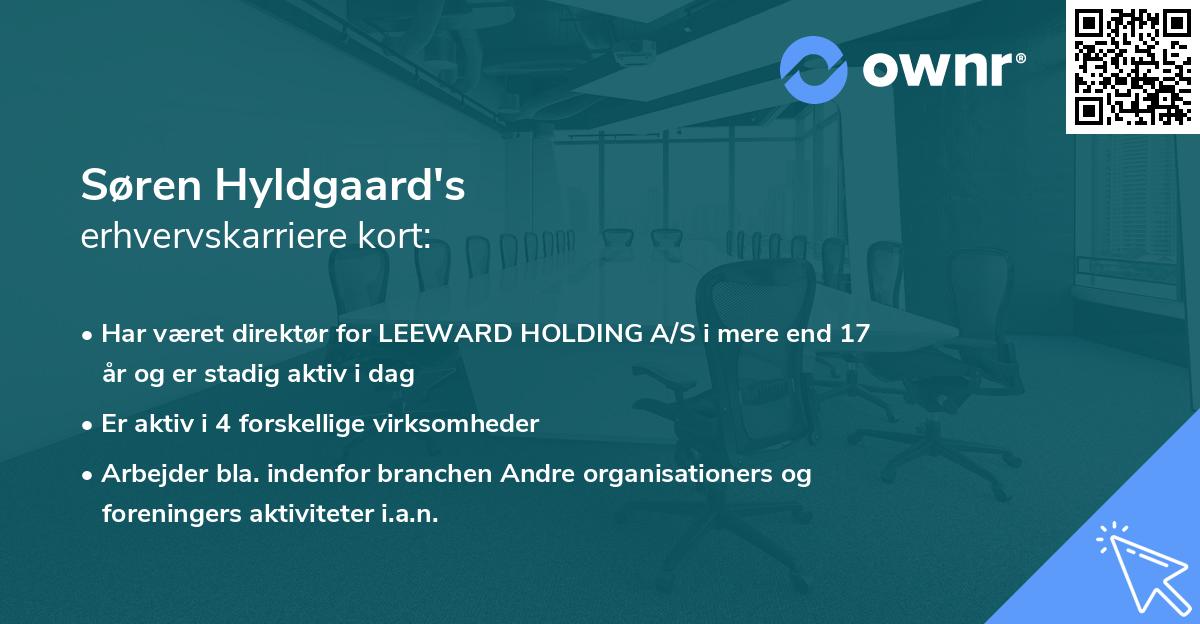 Søren Hyldgaard's erhvervskarriere kort