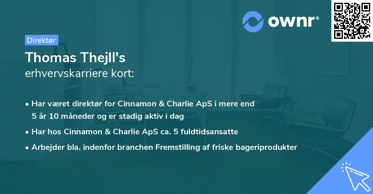 Thomas Thejll's erhvervskarriere kort
