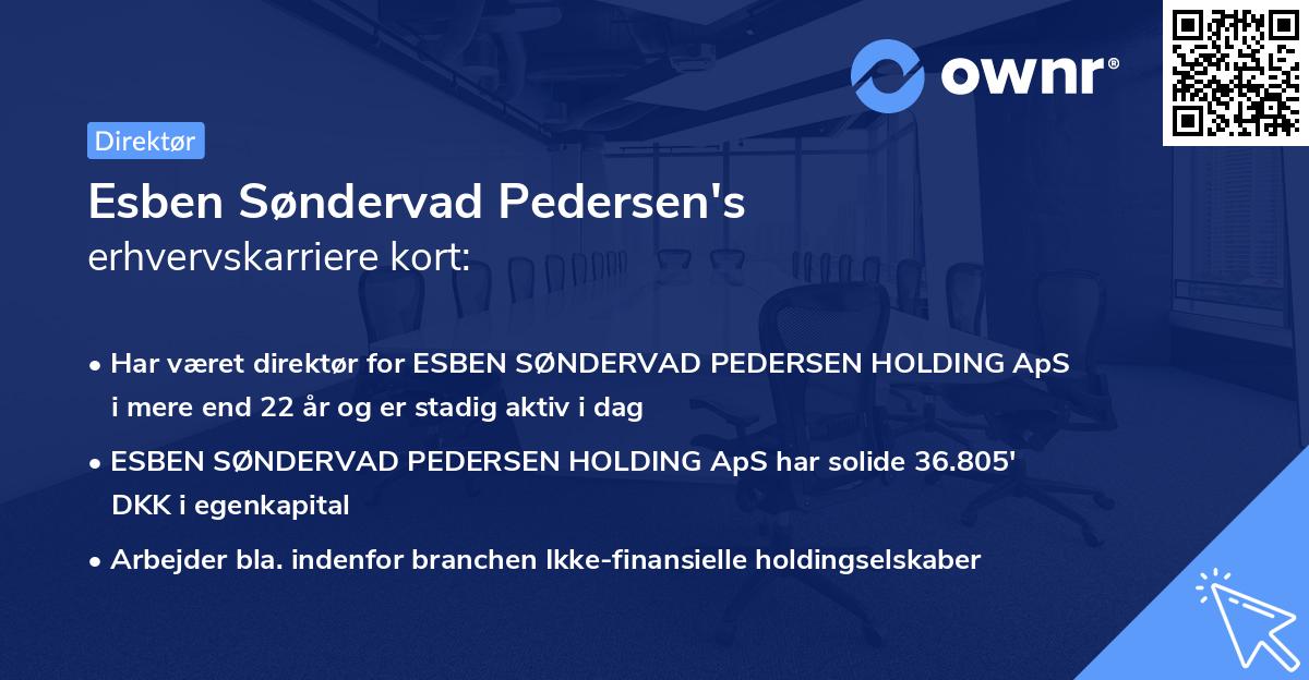 Esben Søndervad Pedersen's erhvervskarriere kort