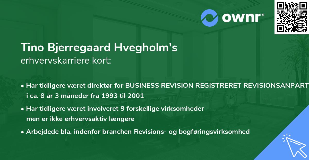 Tino Bjerregaard Hvegholm's erhvervskarriere kort
