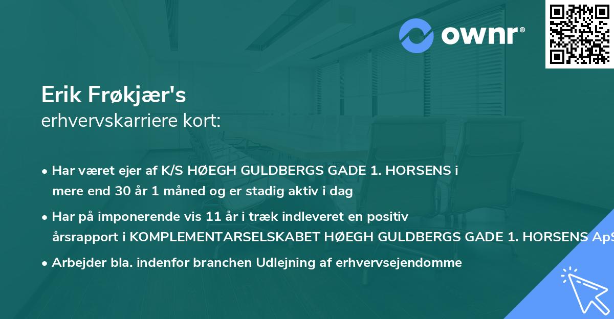 Erik Frøkjær's erhvervskarriere kort