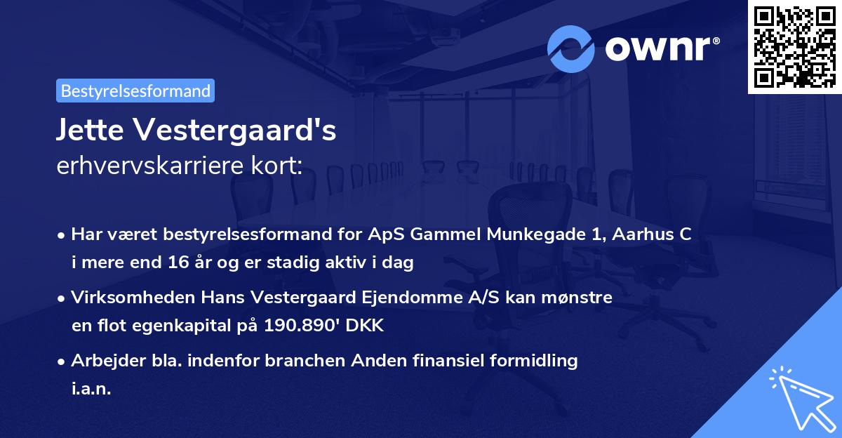 Jette Vestergaard's erhvervskarriere kort