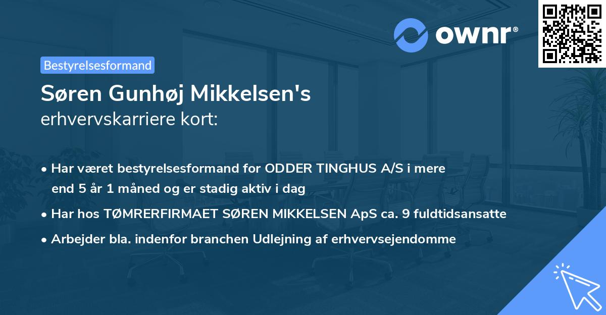 Søren Gunhøj Mikkelsen's erhvervskarriere kort