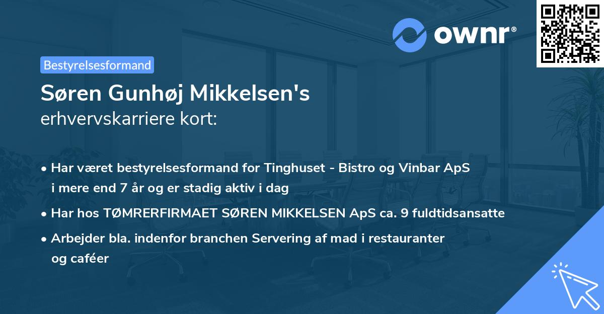 Søren Gunhøj Mikkelsen's erhvervskarriere kort