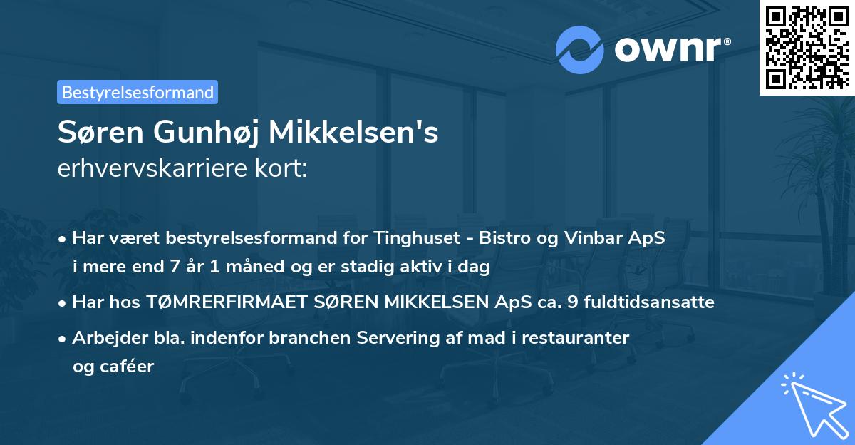 Søren Gunhøj Mikkelsen's erhvervskarriere kort
