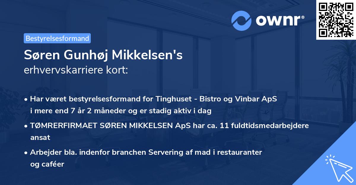 Søren Gunhøj Mikkelsen's erhvervskarriere kort
