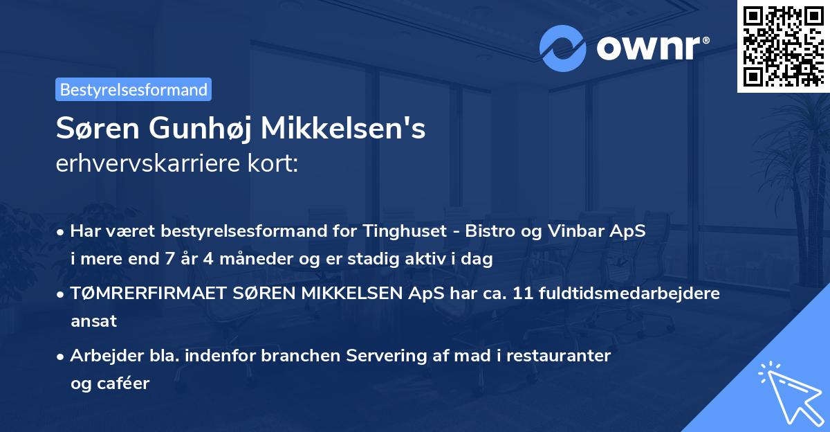 Søren Gunhøj Mikkelsen's erhvervskarriere kort
