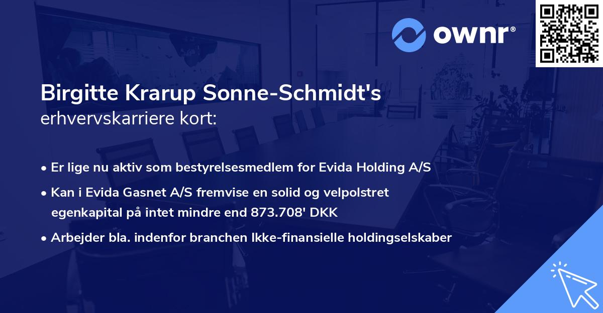 Birgitte Krarup Sonne-Schmidt's erhvervskarriere kort