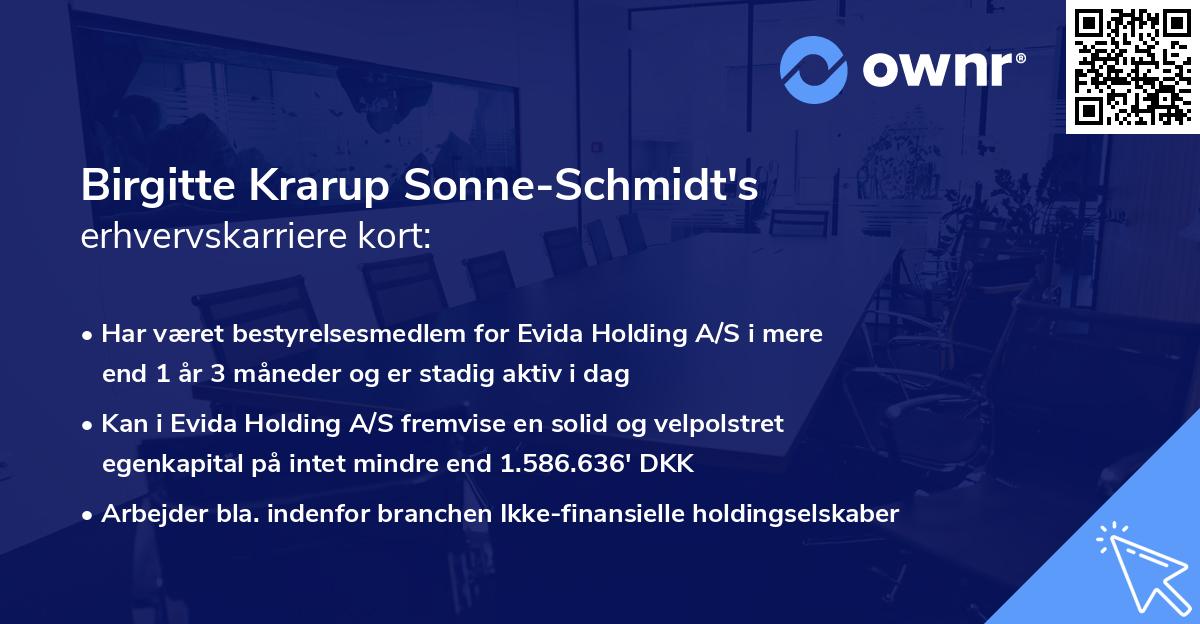 Birgitte Krarup Sonne-Schmidt's erhvervskarriere kort