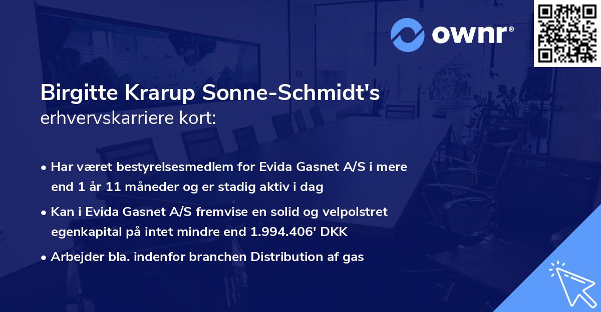 Birgitte Krarup Sonne-Schmidt's erhvervskarriere kort