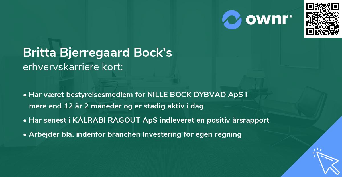Britta Bjerregaard Bock's erhvervskarriere kort