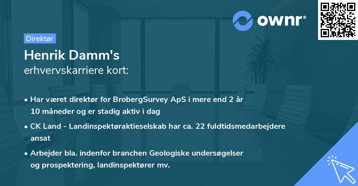 Henrik Damm's erhvervskarriere kort
