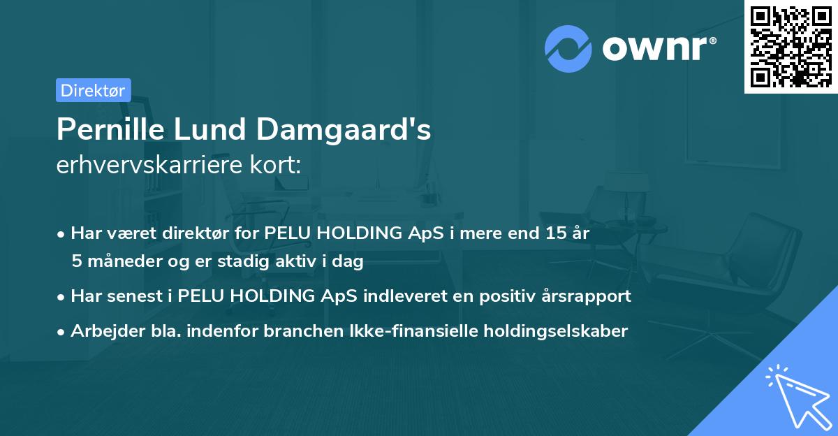 Pernille Lund Damgaard's erhvervskarriere kort
