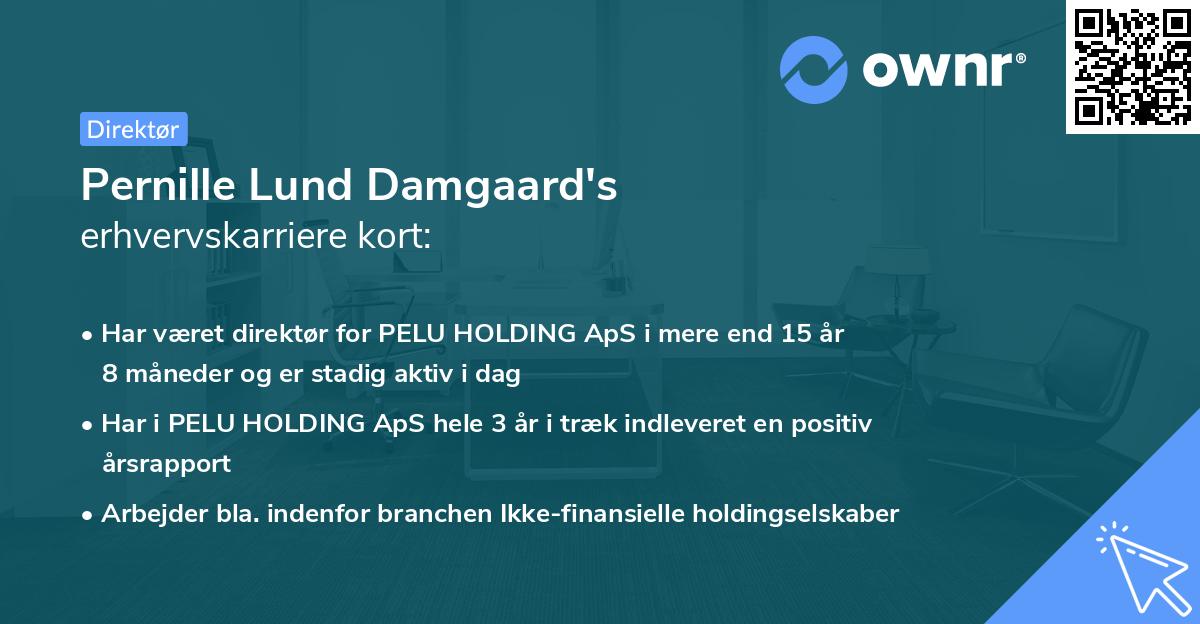 Pernille Lund Damgaard's erhvervskarriere kort