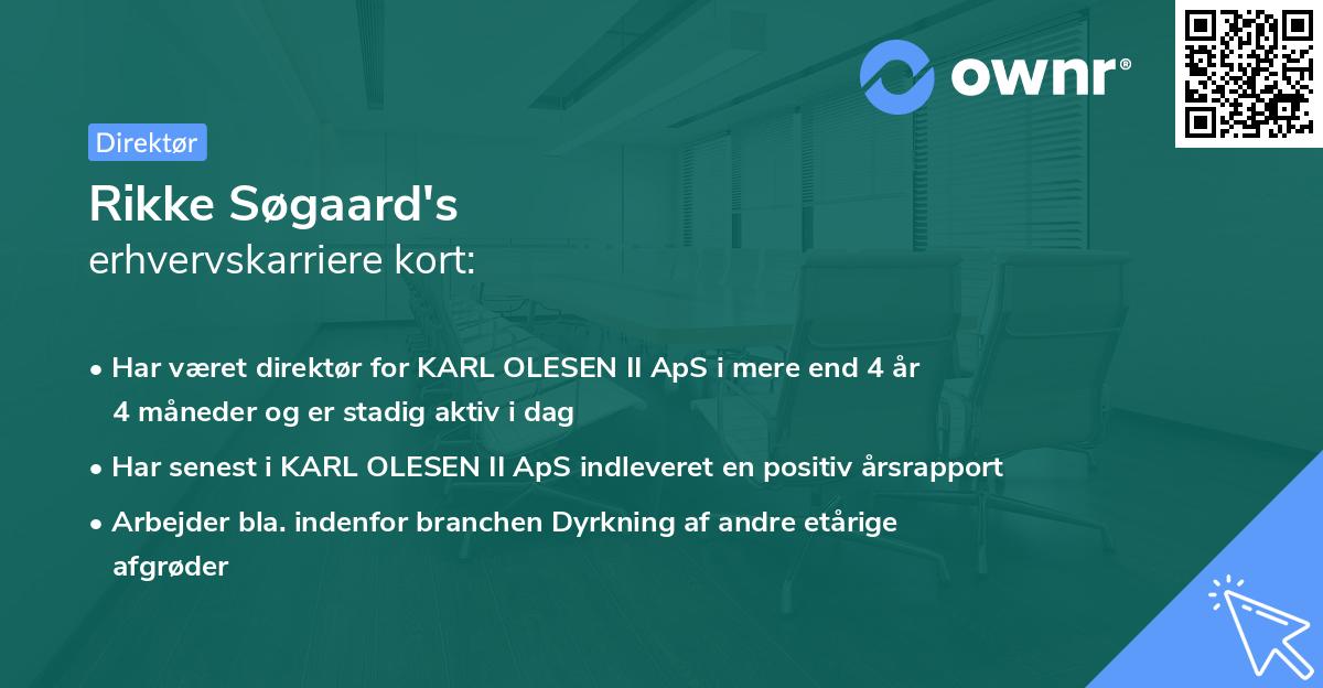 Rikke Søgaard's erhvervskarriere kort