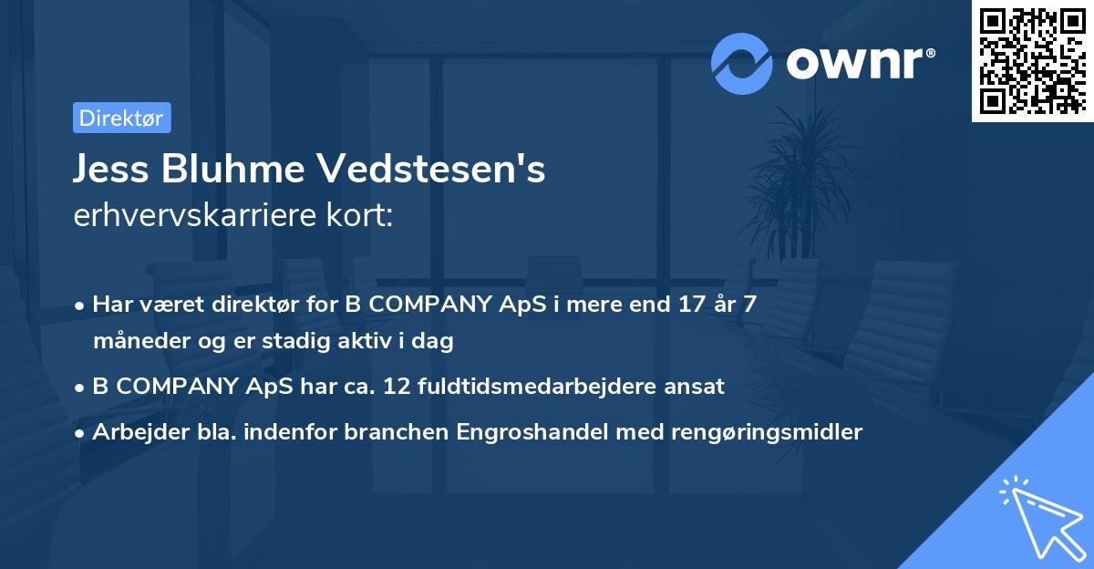 Jess Bluhme Vedstesen's erhvervskarriere kort