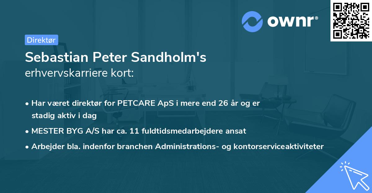 Sebastian Peter Sandholm's erhvervskarriere kort