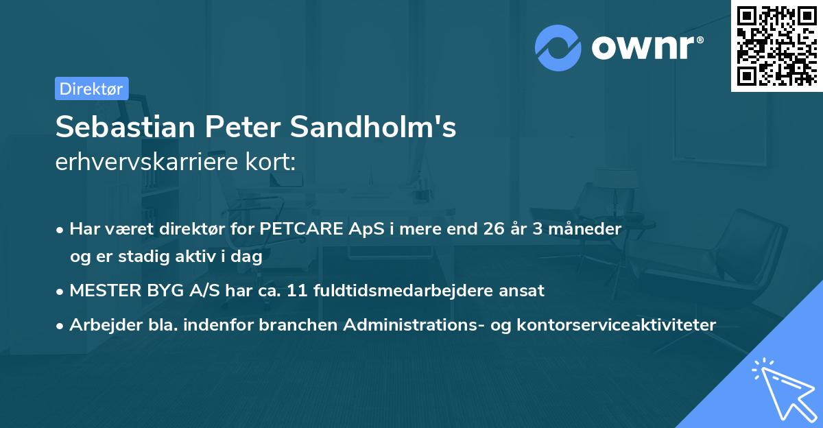 Sebastian Peter Sandholm's erhvervskarriere kort