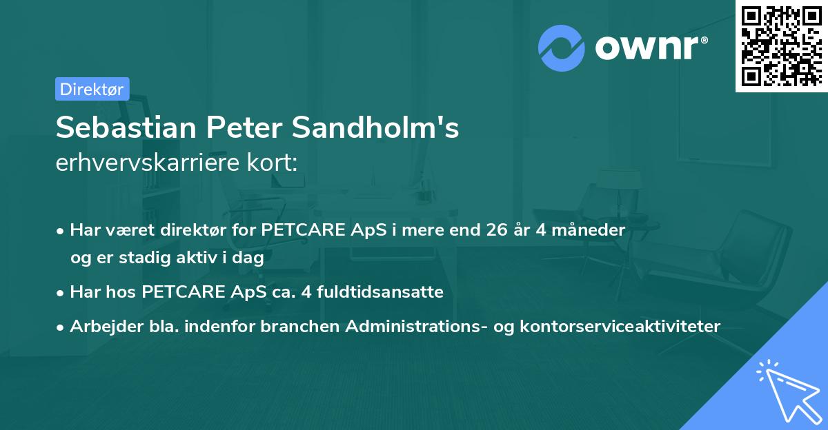 Sebastian Peter Sandholm's erhvervskarriere kort