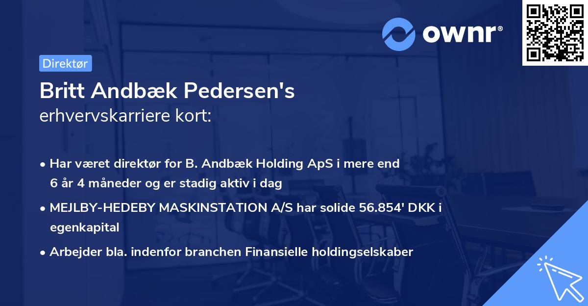 Britt Andbæk Pedersen's erhvervskarriere kort