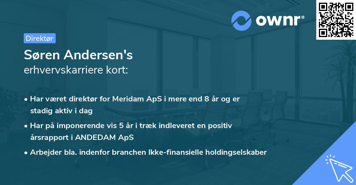 Søren Andersen's erhvervskarriere kort