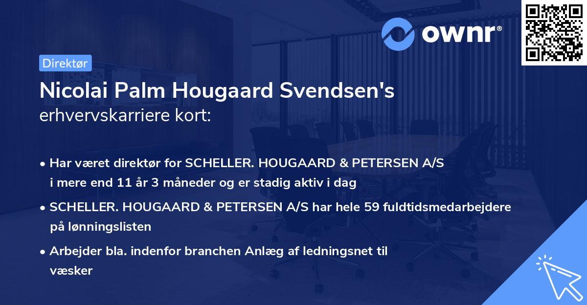 Nicolai Palm Hougaard Svendsen's erhvervskarriere kort