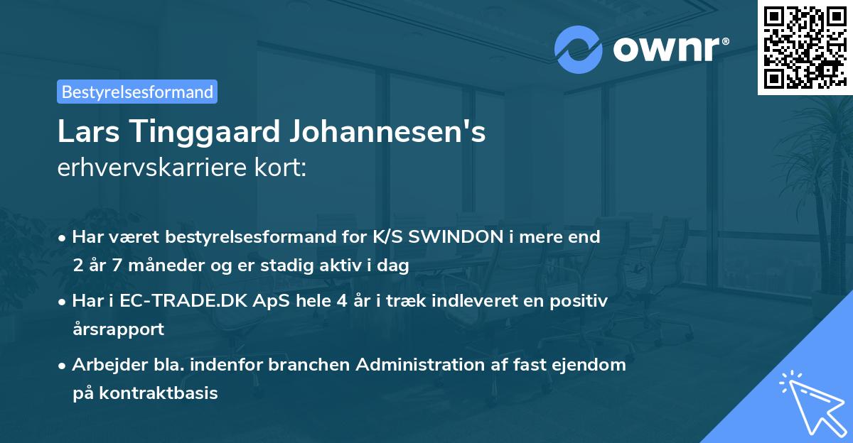 Lars Tinggaard Johannesen's erhvervskarriere kort