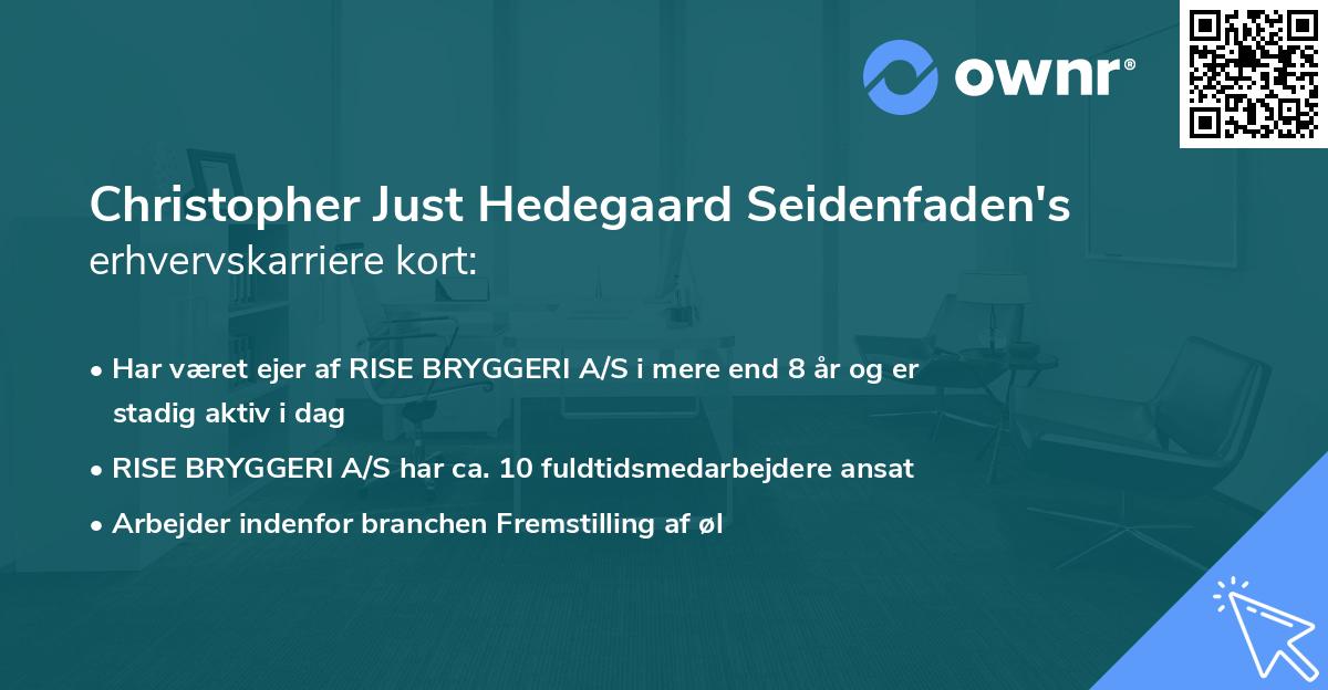 Christopher Just Hedegaard Seidenfaden's erhvervskarriere kort