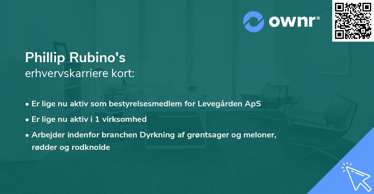 Phillip Rubino's erhvervskarriere kort