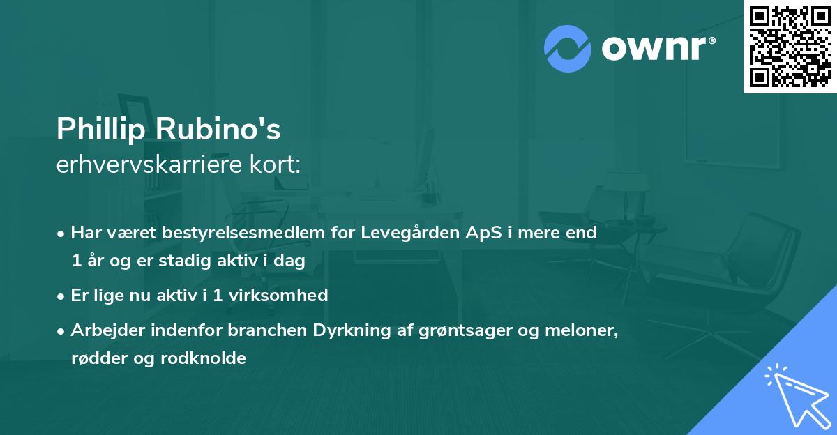 Phillip Rubino's erhvervskarriere kort